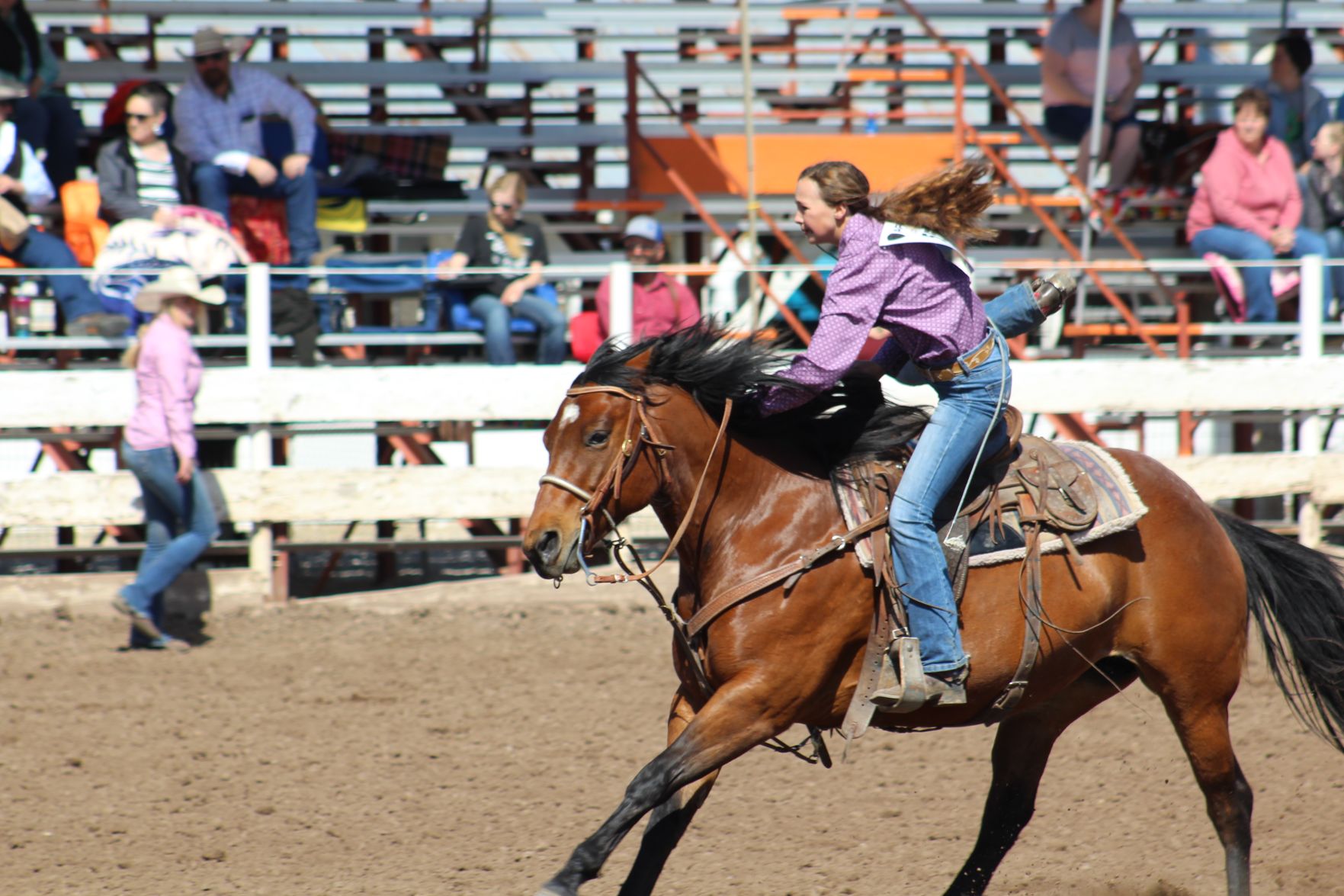 Youth rodeo held at Preston arena IMG_6859.jpg